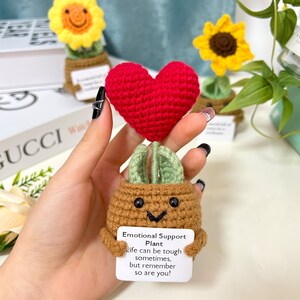 Op maat gemaakte gehaakte bloempotplant, cadeau voor moeder/vrouw/vriendin, schattige bureauaccessoires, liefde uiten afbeelding 9