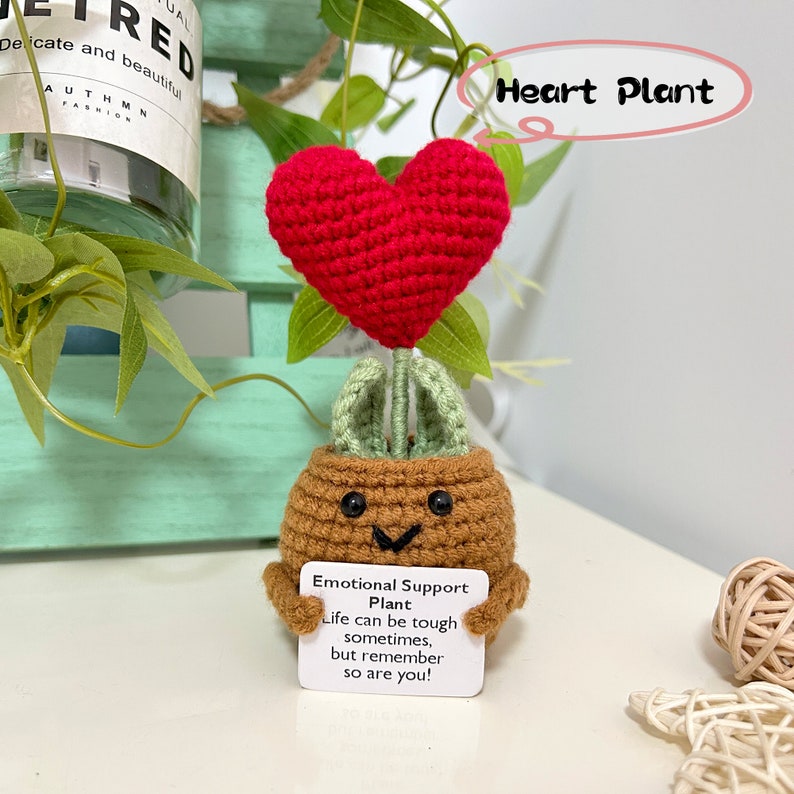 Op maat gemaakte gehaakte bloempotplant, cadeau voor moeder/vrouw/vriendin, schattige bureauaccessoires, liefde uiten Heart Plant