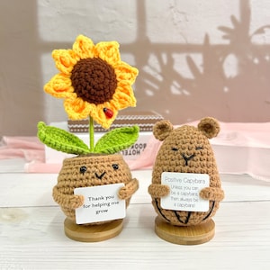 May include: Two crocheted amigurumi figures, a sunflower plant and a capybara, both holding signs with positive messages. The sunflower plant is holding a sign that says "Thank you for helping me grow". The capybara is holding a sign that says "Positive Capybara. Unless you can be a capybara, then always be a capybara!"