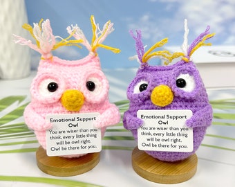 Crochet Emotional Support Owl Gift, Crochet Animals, Encouragement Gift for kids/family/friend/class/team, Desk Decorations