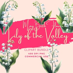 Bundle de cliparts fleur de naissance de muguet, cinq images PNG numériques en téléchargement Commercial instantané haute résolution, Transparent