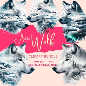 Artic Wolf Clipart Bundle of Five Digital PNG Images in High Resolution, Transparent Background, Instant Commercial Download