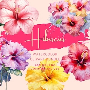 Hibiskus Aquarell Clipart Bundle: hochauflösender, transparenter Sofort-Download für den kommerziellen Gebrauch