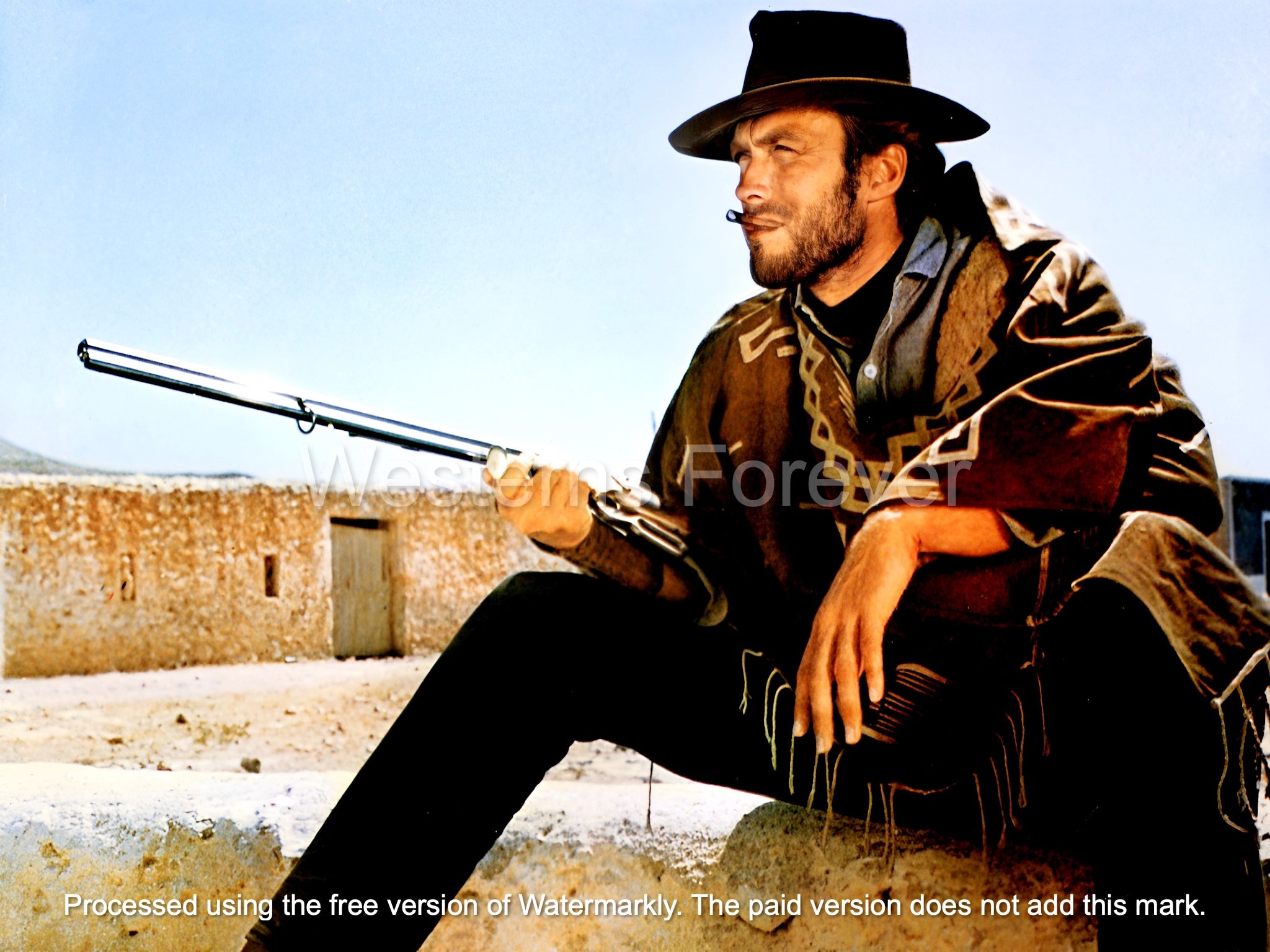 夕日のガンマン　クリントイーストウッド 夕陽のガンマン クリント・イーストウッド カウボーイ ガン 葉巻