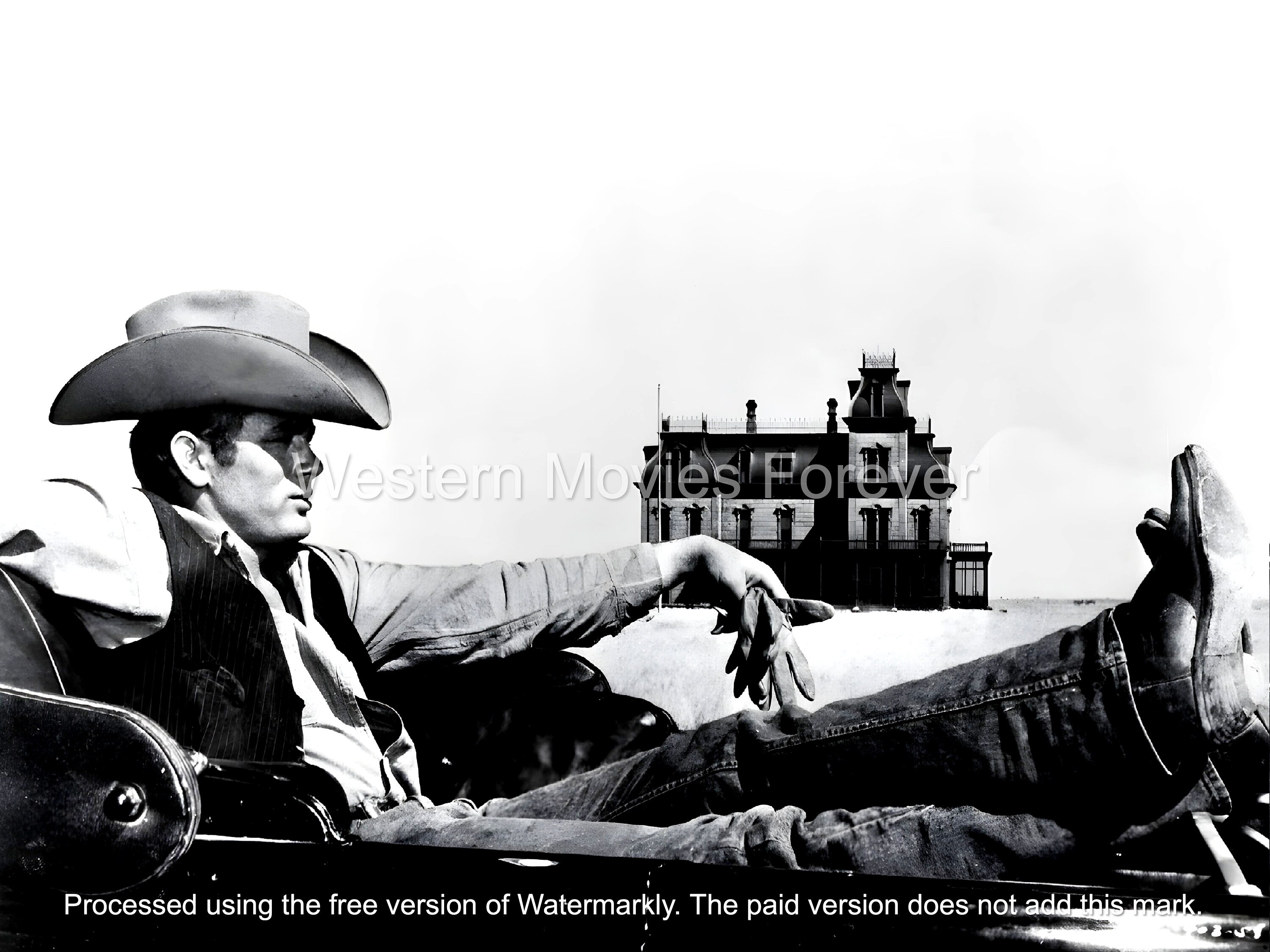 ジェームズ・ディーンの巨大カウボーイハット、アメリカの象徴的