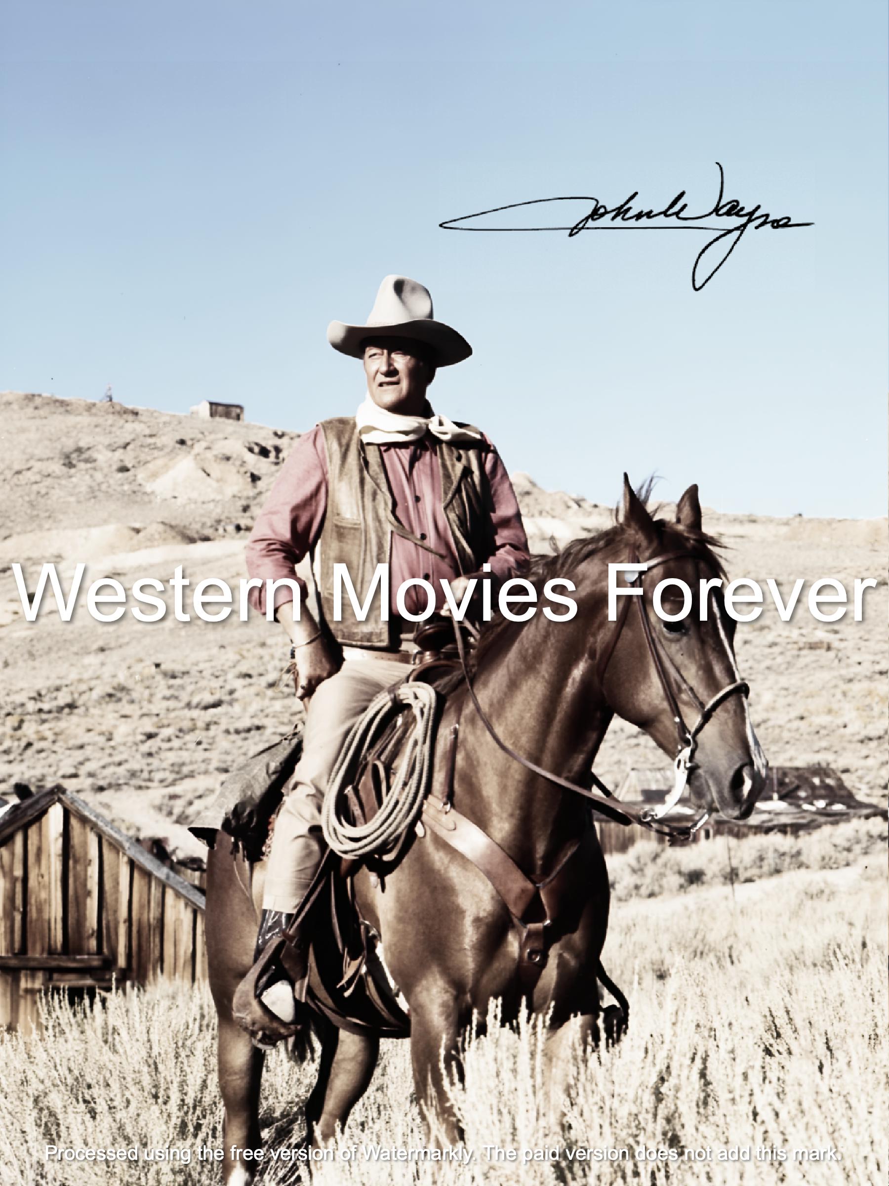 映画館用ポスター　ランナウェイズ　US版　両面印刷　約102cm×69cm レア ジョーカー』アメリカ版劇場オリジナルポスター・階段バージョン/両面