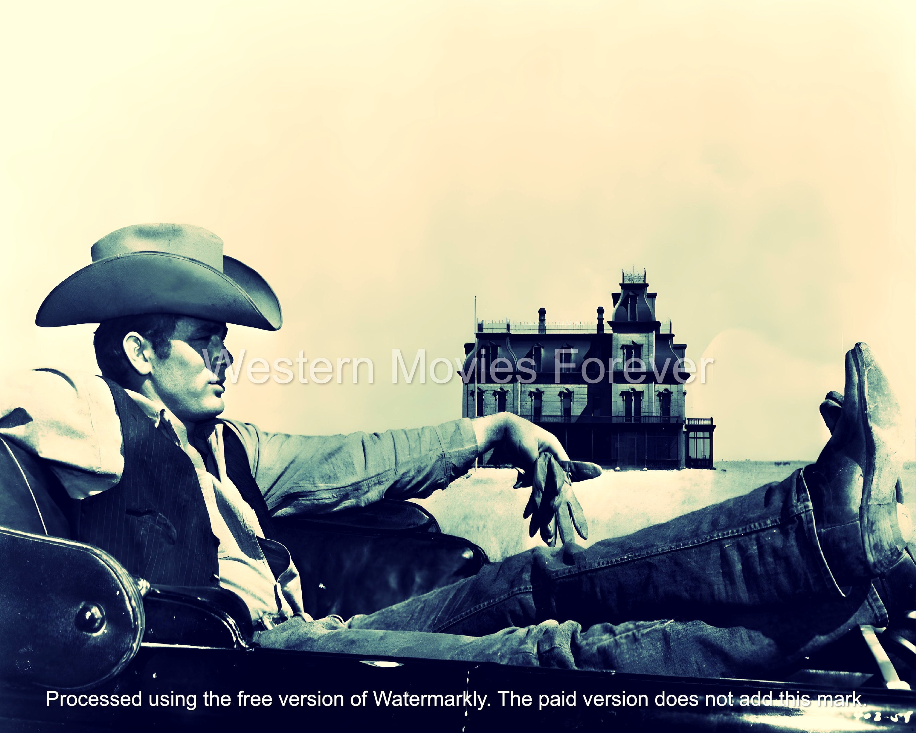James Dean Giant Cowboy Hat American Icon Movie Poster Wall