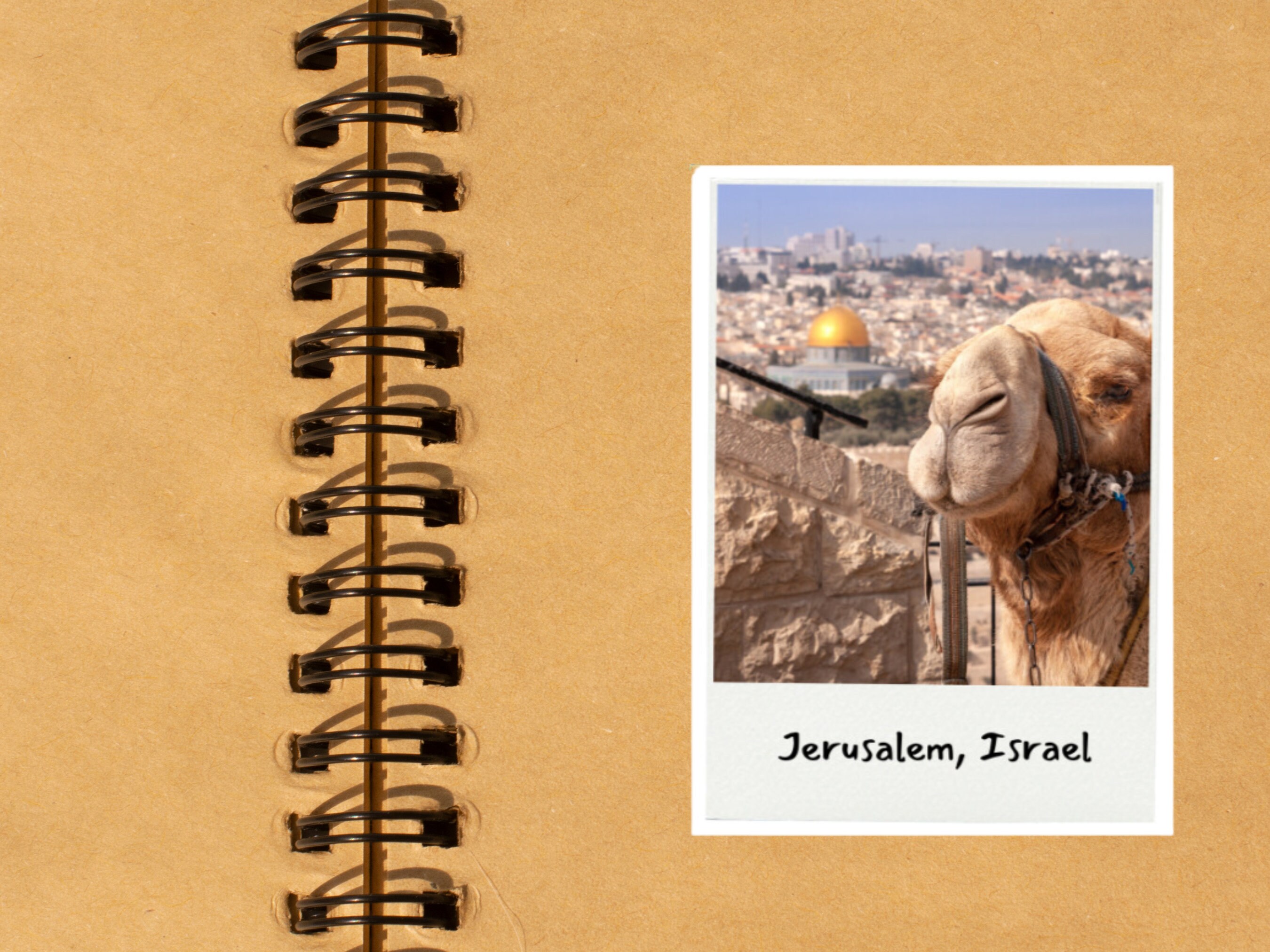 Jerusalem Polaroid Sticker | Israel Tour Sticker | Camel | Zionist ...