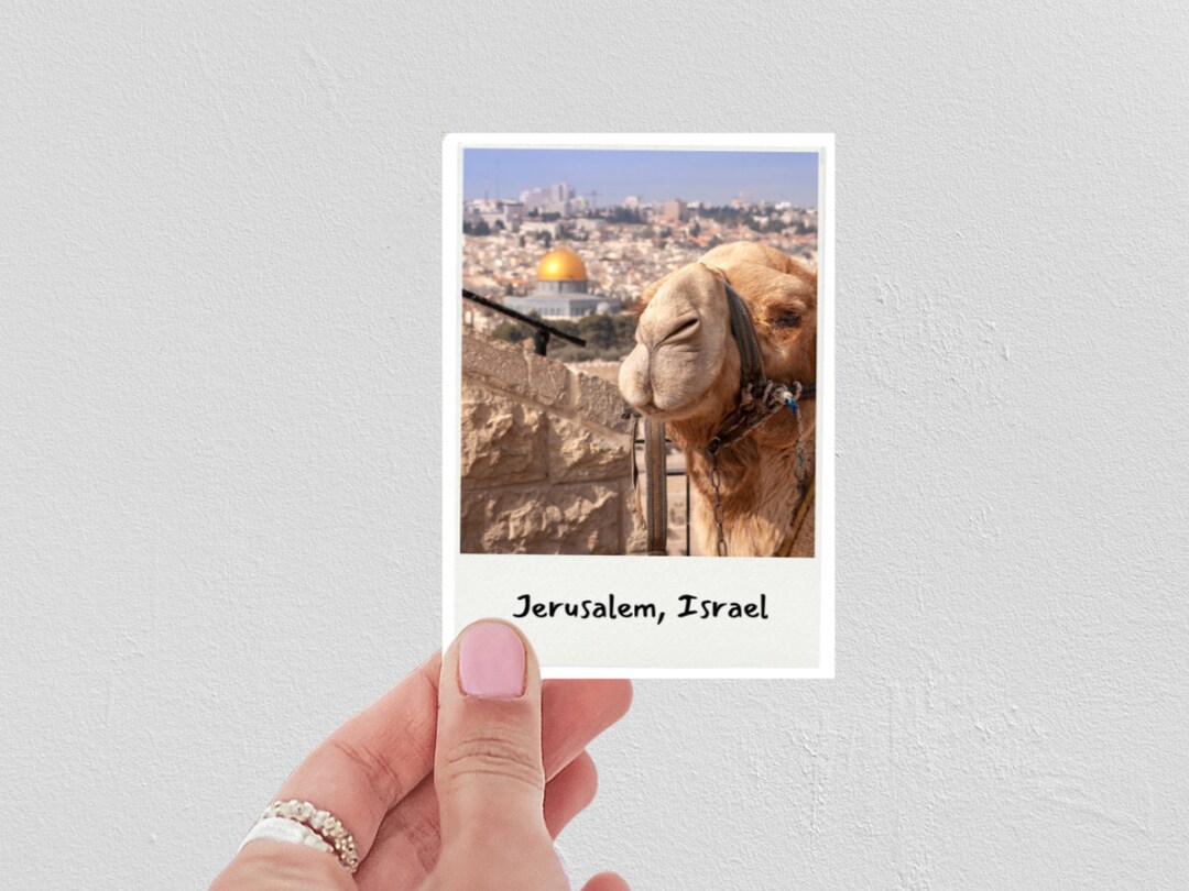 Jerusalem Polaroid Sticker | Israel Tour Sticker | Camel | Zionist ...