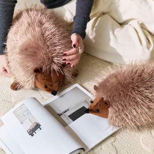 May include: Two plush hedgehog toys with brown and tan fur, brown faces, and black noses are displayed. The toys are positioned near an open magazine. The image is taken from a slightly elevated angle, with a person's hands visible.