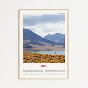 Chile Print Film Photo, Chile Wall Art, Chile Poster, Chile Photo, Chile Poster Print, Chile Wall Decor, Chile Art Print, Chile Guanacos