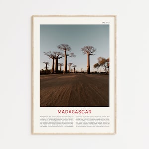 Madagascar Print Film Photo, Madagascar Wall Art, Madagascar Poster, Madagascar Photo, Madagascar Poster Print, Madagascar Wall Decor