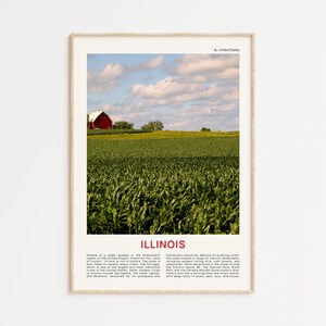 Foto di pellicola stampata dell'Illinois, arte murale dell'Illinois, poster dell'Illinois, foto dell'Illinois, stampa di poster dell'Illinois, decorazione murale dell'Illinois, stampa di poster degli Stati Uniti