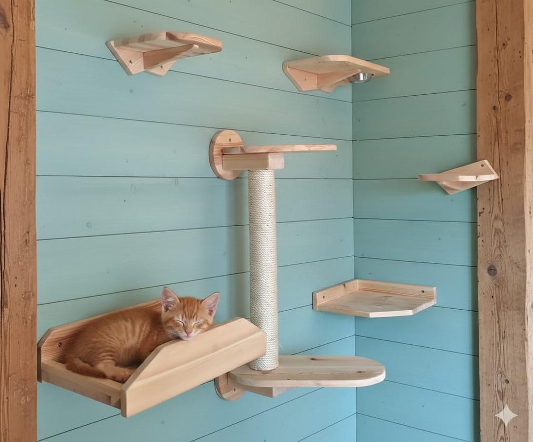 Spring Cat Wall 6-piece Pine Wood Cat Climbing Wall - Wall-mounted Play Area, Catwalk ...