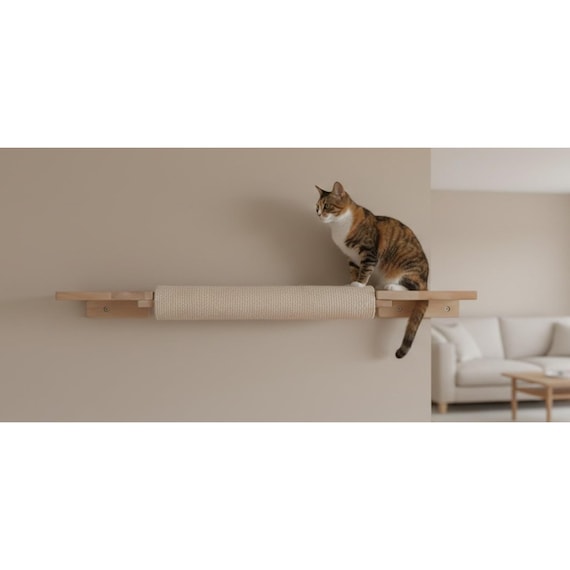 main coon kratzbaum Maine Coon Sleeper de Luxe Dunkelgrau