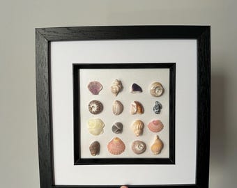 South Coast Mixed Shell Grid * Shell Art * Handmade in the UK * Framed Art