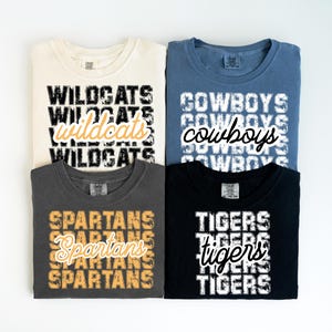 School Team Name Shirts, Custom Mascot Sweatshirt, School Spirit Logo T-shirt Favorite Sports Team TShirt Group Matching Tee Comfort Colors®