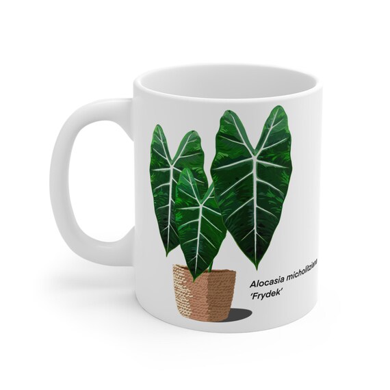 Alocasia Micholitziana "frydek" Plant Lover Mug - White - Etsy