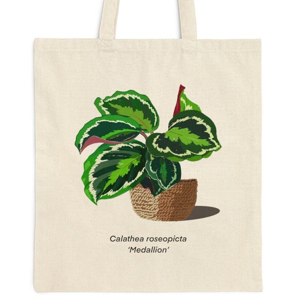 Calathea roseopicta 'Medallion' plant lover cotton tote bag gift houseplant shopping tote bag plant canvas bag  Calathea lover gift