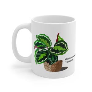 Calathea Roseopicta &quot;&quot;Medaillon&quot;&quot; Pflanzenliebhaber Tasse - Weiß