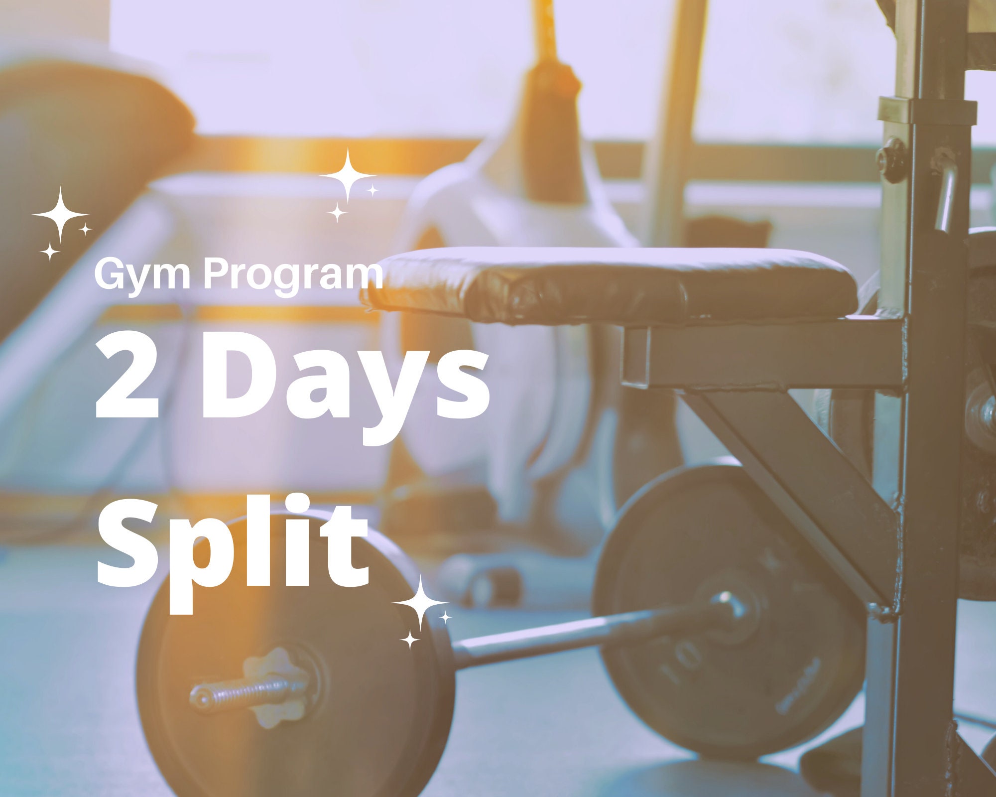 Femmeforce 2 Days Split Workout Plan Etsy