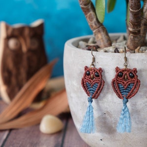 Könnte beinhalten: Ein Paar Eulenohrringe aus braunem und blauem Makramee, die an einer Topfpflanze hängen. Die Ohrringe haben einen Quasten aus blauem Garn.