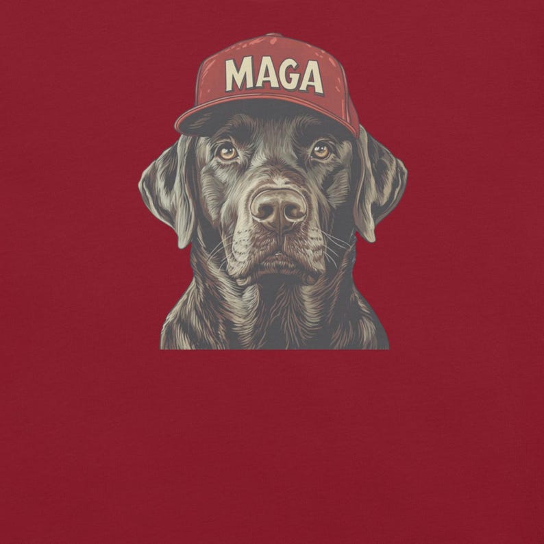 T-Shirt Humoristique 'Trump Chasse Au Canard' - Marque Gildan - Coton - Taille Standard - Cadeau Pour Chasseur Ou Fan - Homme/Unisexe