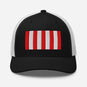 Sons of Liberty Flag Hat, Embroidered Adjustable Mesh Back Trucker Cap, American History Gift, Multiple Colors