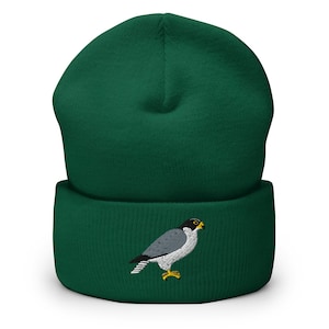 Peregrine Falcon Beanie, Falcon Bird Embroidered Cuffed Winter Beanie Hat, Falcon Gifts, Birds of Prey, Multiple Colors