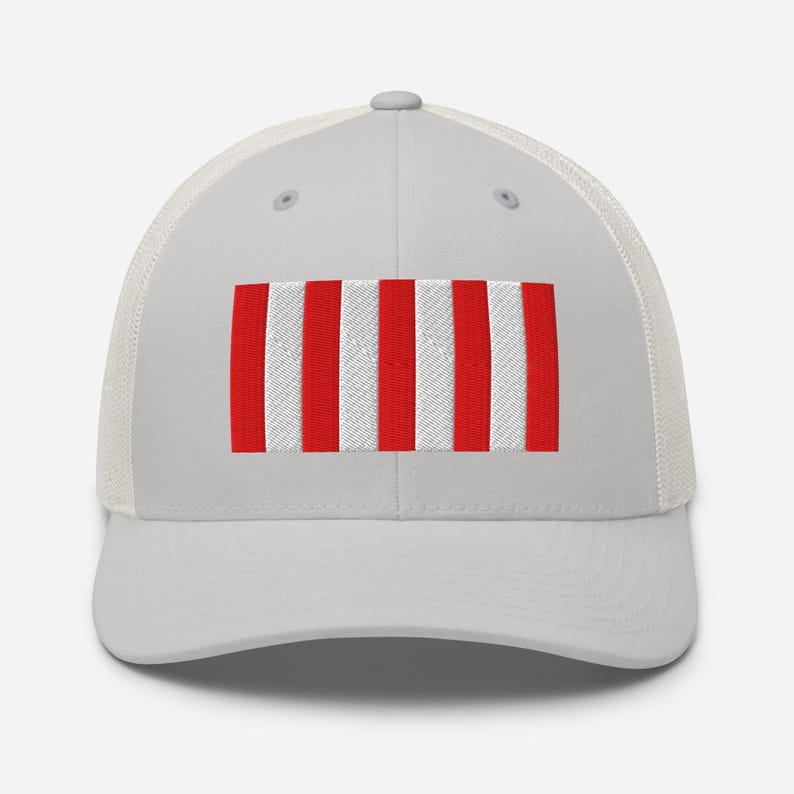 Sons of Liberty Flag Hat, Embroidered Adjustable Mesh Back Trucker Cap, American History Gift, Multiple Colors