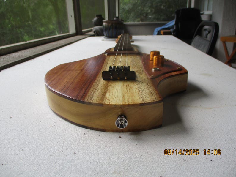 The Python - 3 String Tenor Guitar - Etsy