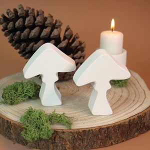 Set Mushrooms Raysin Autumn Decoration Gift Idea Girlfriend Mother Minimalist Scandinavian Decoration White Table Decoration Fly Agarics