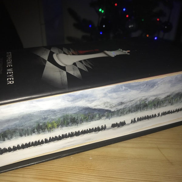 Twilight Breaking Dawn hand painted book