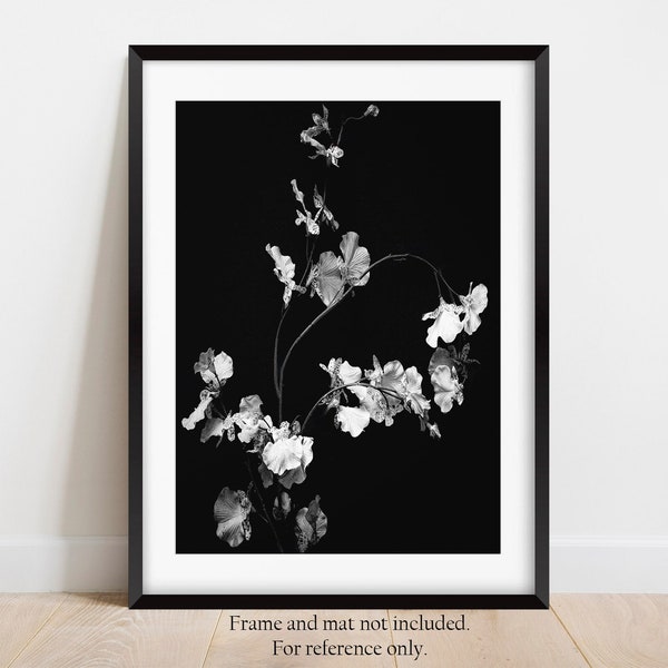Orchid Flowers Floral Botanical Unique Black and White Fine Art Photography Print