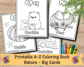 Baby Shower Coloring Book Nature First ABC Book Baby's Gift Coloring Printable PDF Pages Baby Shower Activity Custom Name 1x1