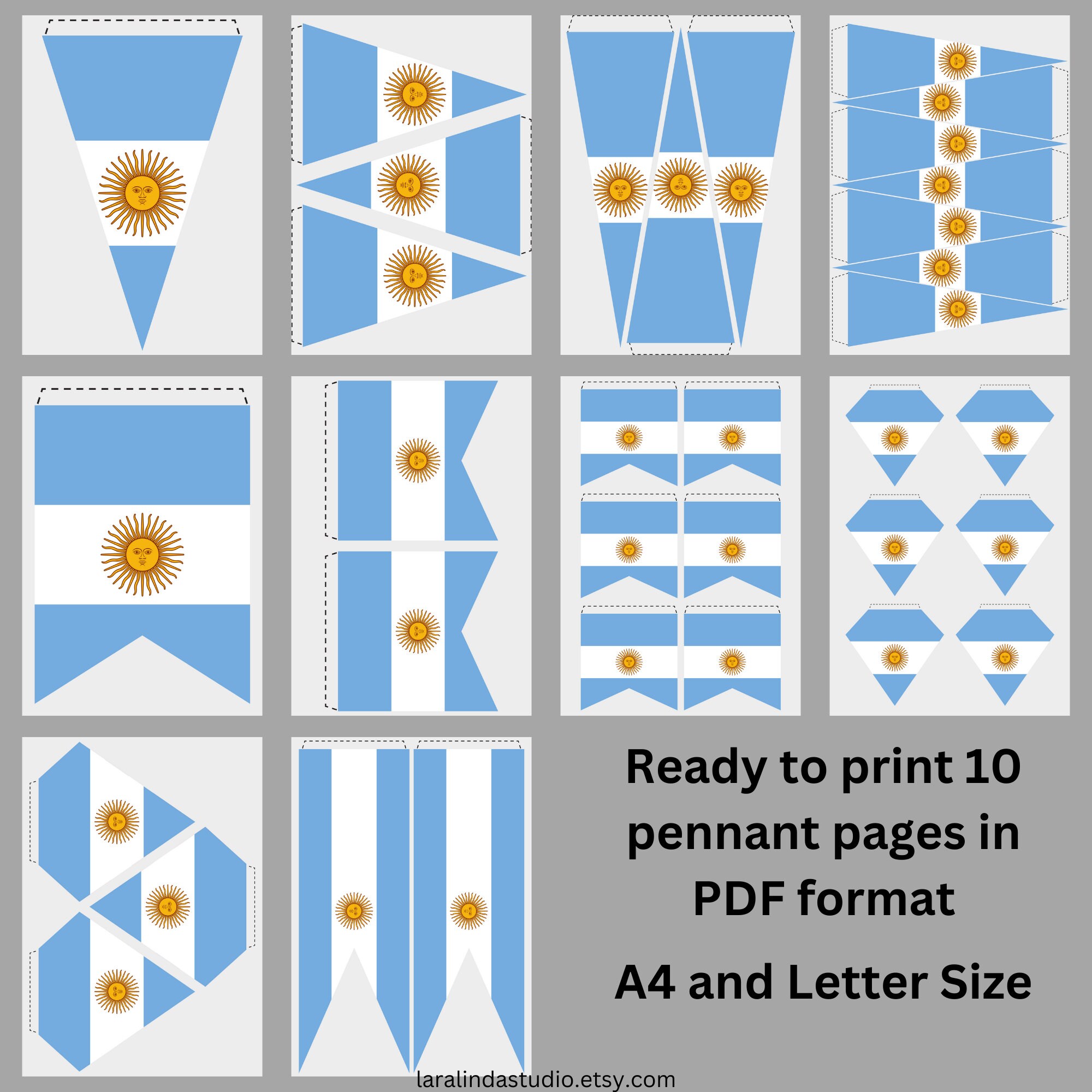 Argentina Flag Bundle 77 SVG & PNG Printable Files for Ready to Use