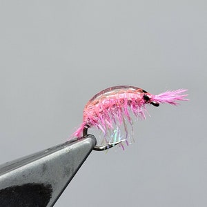 Hise UV Scud- Pink