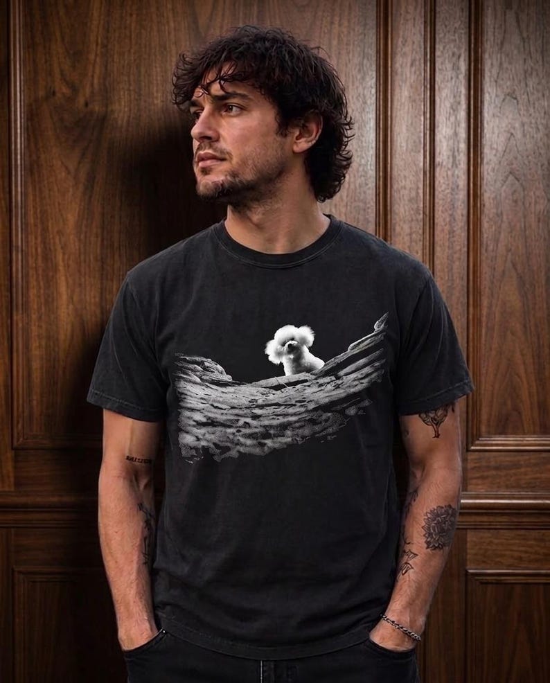 May include: A charcoal grey short-sleeve t-shirt featuring a graphic print of a small white fluffy dog sitting on a textured, rocky landscape. The shirt has a crew neckline and a faded, vintage-inspired wash throughout the fabric.