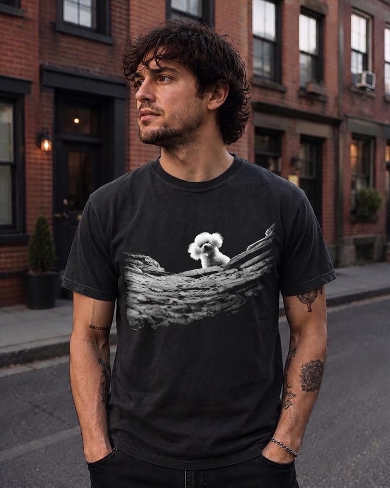 May include: A charcoal grey short-sleeve crew neck t-shirt featuring a graphic print on the chest. The graphic depicts a small white fluffy dog standing on a textured, rocky, monochromatic landscape that spans across the centre of the shirt.
