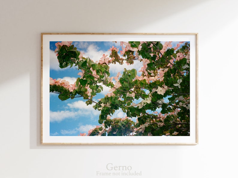 Original 35mm Film Photography Art Print Portland Flowers Etsy