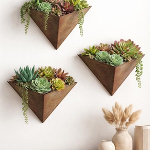 Puede incluir: Tres jardineras triangulares de pared con un acabado metálico oxidado y envejecido. Cada jardinera está llena de una variedad de suculentas en tonos verdes, rojos y morados. La vegetación colgante añade un toque natural.