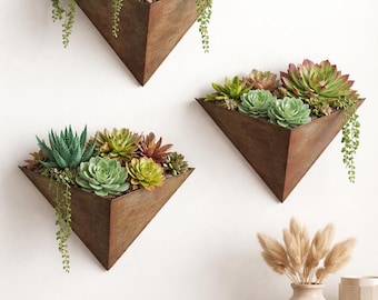Puede incluir: Tres jardineras triangulares de pared con un acabado metálico oxidado y envejecido. Cada jardinera está llena de una variedad de suculentas en tonos verdes, rojos y morados. La vegetación colgante añade un toque natural.