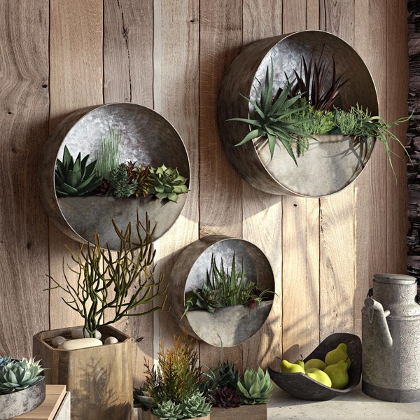 Succulent Planter - Round Indoor/Outdoor Living Wall Galvanized Steel/Zinc Art Potting Vessel - 3 Sizes -2 Colors - Fast Free Shipping!