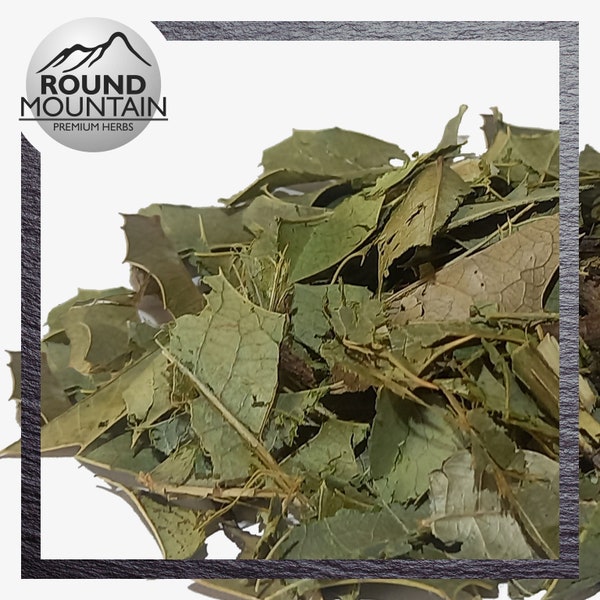 Congorosa Premium Herbal Tea | Maytenus ilicifolia | Espinheira Santa | Cancrosa | Maiteno | Chuchuwasi | Herbalism | Sacred | Ayurvedic