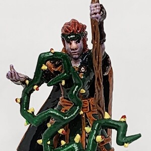 Firbolg Druid