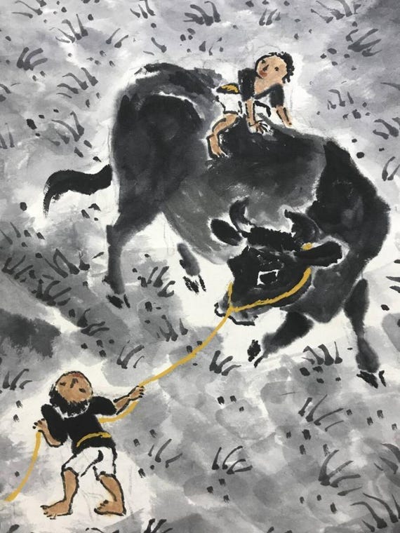 RAKUDA shina FARSHINA × OLD MOUNTAIN RAKUDA shina FARSHINA × OLD MOUNTAIN RAKUDA shina FARSHINA