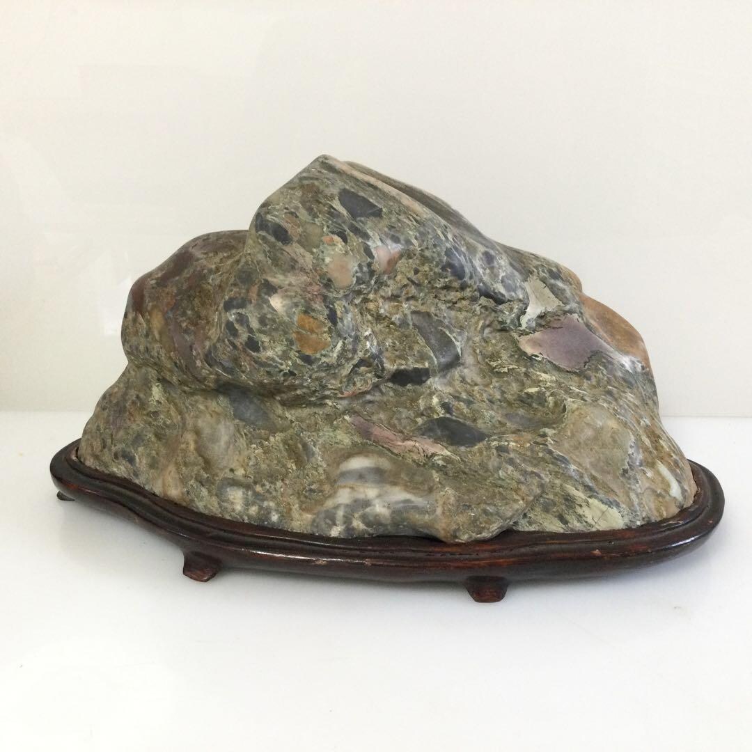 Japanese Viewing Stone Suiseki – Natural Scholar's Rock With Wood