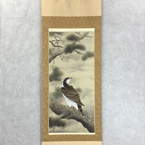 Op de afbeelding: Een Japanse rolschildering met een havik op een dennentak. Het kunstwerk toont de vogel met bruine en witte veren, tegen een gedempte achtergrond. De rol is omlijst in een bruine rand en heeft een beige boven- en onderkant.