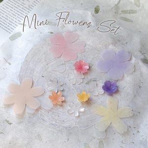 May include: A selection of miniature, translucent flowers in pink, peach, yellow, purple, and white. The flowers are displayed on a textured, off-white surface, with the words "Mini Flowers Set" in elegant script.