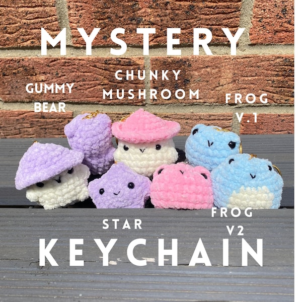 Mystery plushie keychain crochet amigurumi |handmade stuffed animal | soft fluffy cute | surprise box | Desk Pet, crochet gifts crochet toy